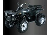 2012 E-Ton Challenger CXL-150 photo